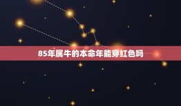 85年属牛的本命年能穿红色吗，2023年属牛本命年穿什么颜色好 穿红色