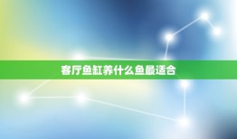 客厅鱼缸养什么鱼最适合，鱼缸里养什么鱼好 鱼缸里什么鱼最好养