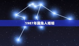 1987年属兔人婚姻