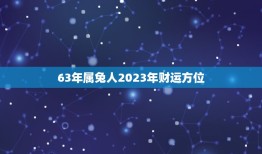 63年属兔人2023年财运方位(展望财运亨通财源广进)