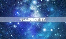 2023赚钱项目商机(未来潜力的投资机会)