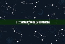 十二星座数学最厉害的星座，数学更好的星座女排名