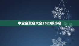 牛宝宝取名大全2023款小名，好听的女孩名字2023牛宝宝