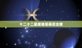 十二十二星座谁是幕后主使，长安十二时辰丁瞳儿结局