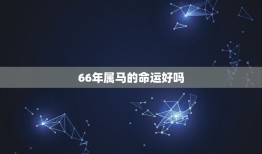 66年属马的命运好吗(介绍马年出生人的运势如何)