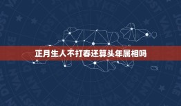 正月生人不打春还算头年属相吗，大家来讨论个问题吧，立春前出生算哪个属相