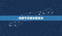 伤官不见官必配贵夫，1983年7月1日晚上八点28分生的人，阳历，干支