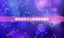 属狗适合什么属相带黑曜石，属狗的人配带属鼠的黑曜石好不好