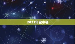 2023年宝小名，2023年1月28日下午15:09分出生的男孩（