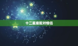 十二星座配对情侣，十二星座更佳配对情侣