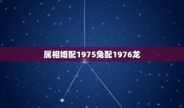 属相婚配1975兔配1976龙，1975年属兔和1976属龙的女的相配