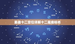 星盘十二宫位详解十二星座标志，最详细的星盘分析