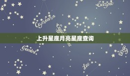 上升星座月亮星座查询，精准上升星座查询器