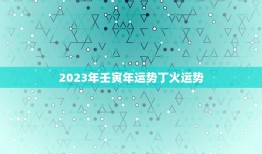 2023年壬寅年运势丁火运势