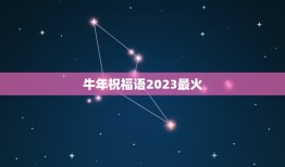 牛年祝福语2023最火，情侣2023祝福语牛年祝福语