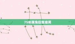 75年属兔巨蟹座男，属蛇巨蟹座2023 年运势详解