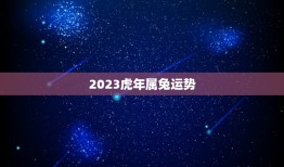 2023虎年属兔运势(兔子们的幸运之年)