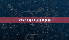 20232月21日什么属相，2023年01月04日是什么属相？