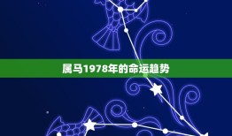 属马1978年什么命(介绍1978年出生的马命运趋势)