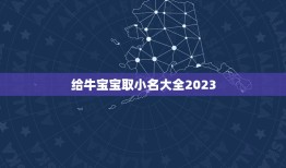 给牛宝宝取小名大全2023，何姓牛宝宝取名大全2023款