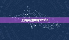 上海劳动仲裁12333，劳动仲裁是不是必须先去12333的投诉才能申请