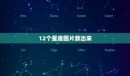 12个星座图片放出来，十二星座谁是老大