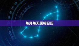 每月每天属相日历，2023 年每日生肖相冲表