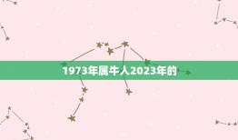 1973年属牛人2023年的，73年的牛男2023年的全程运势