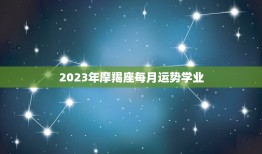 2023年摩羯座每月运势学业，2023 年运势12生肖运势