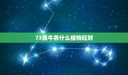 73属牛养什么植物旺财，73年属牛的2015年养什么花运气好呢？