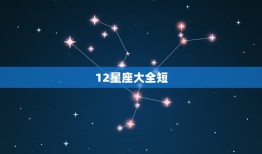 12星座大全短，十二星座谁的字最漂亮