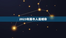 2023年属牛人是啥命，2023年什么命五行属性