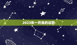 2023年一月兔的运势