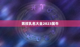 男孩乳名大全2023属牛，牛年宝宝名字大全2023有寓意