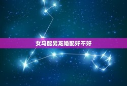 女马配男龙婚配好不好，女马和男龙生肖结成一对好不好？