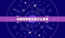 冲猴丙申煞北是什么意思