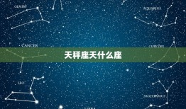 天秤座天什么座，唯一宠天秤座的星座