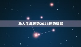 马人牛年运势2023运势详解，牛年马的运势2023运势