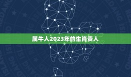 属牛人2023年的生肖贵人，2023年运好中头奖的生肖