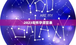 2023年怀孕清宫表，清宫表2023生男生女图计算方法