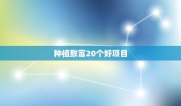 种植致富20个好项目(打造丰收路让你轻松致富)