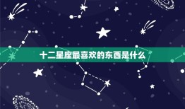 十二星座最喜欢的东西是什么，十二星座想要的东西