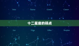 十二星座的弱点，十二星座的守护奥特曼