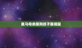 属马母亲属狗孩子属相鼠，属马母亲属狗孩子属马几月好