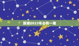 属猪2023年必有一难，83年属猪2023年必有一难