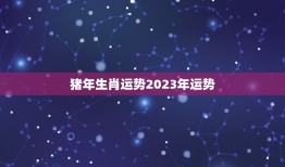 猪年生肖运势2023年运势