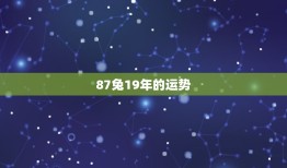 87兔19年的运势