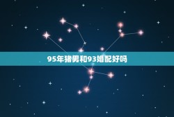 95年猪男和93婚配好吗，为什么属猪女95年跟属鸡男93年 不配不