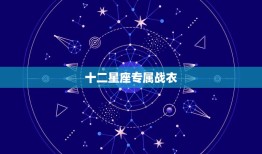 十二星座专属战衣，十二星座长大开什么豪车