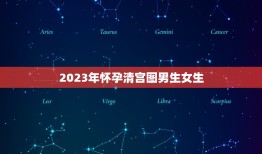 2023年怀孕清宫图男生女生，清宫图2023年生男生女表怎么算